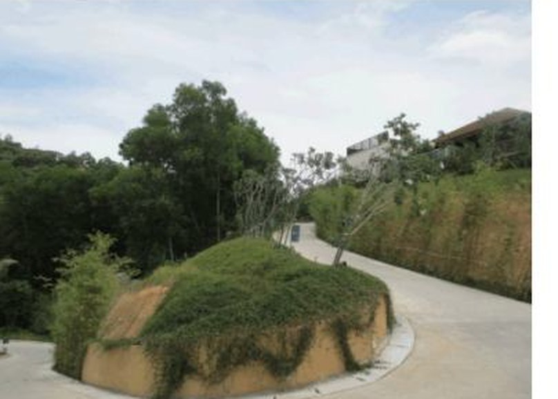 Completed soil-nailed slope, vegetated and stabilised, beside a resort access road
